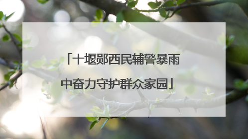 十堰郧西民辅警暴雨中奋力守护群众家园